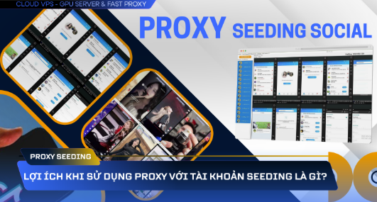 quy trình phân bổ proxy seeding ip sạch